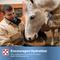 Show in main carousel: Purina RepleniMash Product Horse Electrolyte Supplement, 7-lb bag slide 6 of 10