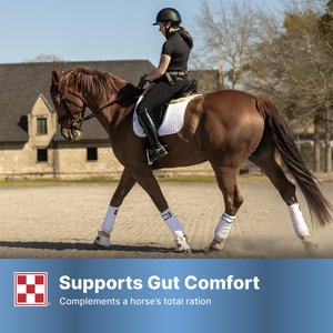 Purina RepleniMash Product Horse Electrolyte Supplement, 7-lb bag