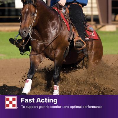 Show full view: Purina Outlast Gastric Support Pellets Horse Digestive Aid, 40-lb bag slide 8 of 10