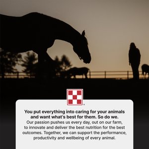 Purina SuperSport Amino Acid Pellets Horse Performance Supplement, 25-lb bag