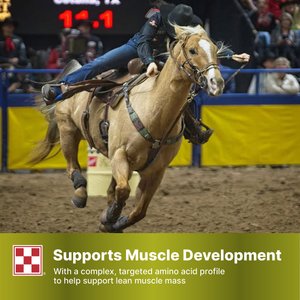Purina SuperSport Amino Acid Pellets Horse Performance Supplement, 25-lb bag
