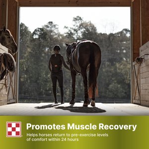 Purina SuperSport Amino Acid Pellets Horse Performance Supplement, 25-lb bag
