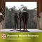 Show in main carousel: Purina SuperSport Amino Acid Pellets Horse Performance Supplement, 25-lb bag slide 6 of 10
