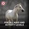 Show in main carousel: Purina Free Balance 12:12 Vitamin & Mineral Horse Supplement, 25-lb bag slide 5 of 10