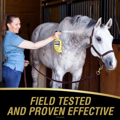 Show full view: Absorbine UltraShield Gold Horse Fly Spray Refill, 32-fl oz bottle slide 2 of 11