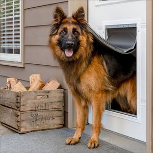PetSafe Window & Porch Screen Pet Door