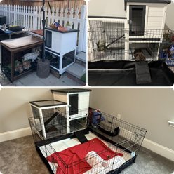 FunXplore Outdoor Rabbit Hutch with Urine Guards, White slide 2 of 8