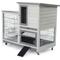 Show in main carousel: FunXplore Rabbit Hutch Indoor & Outdoor with 2 Pull-out Trays, Grey slide 1 of 8