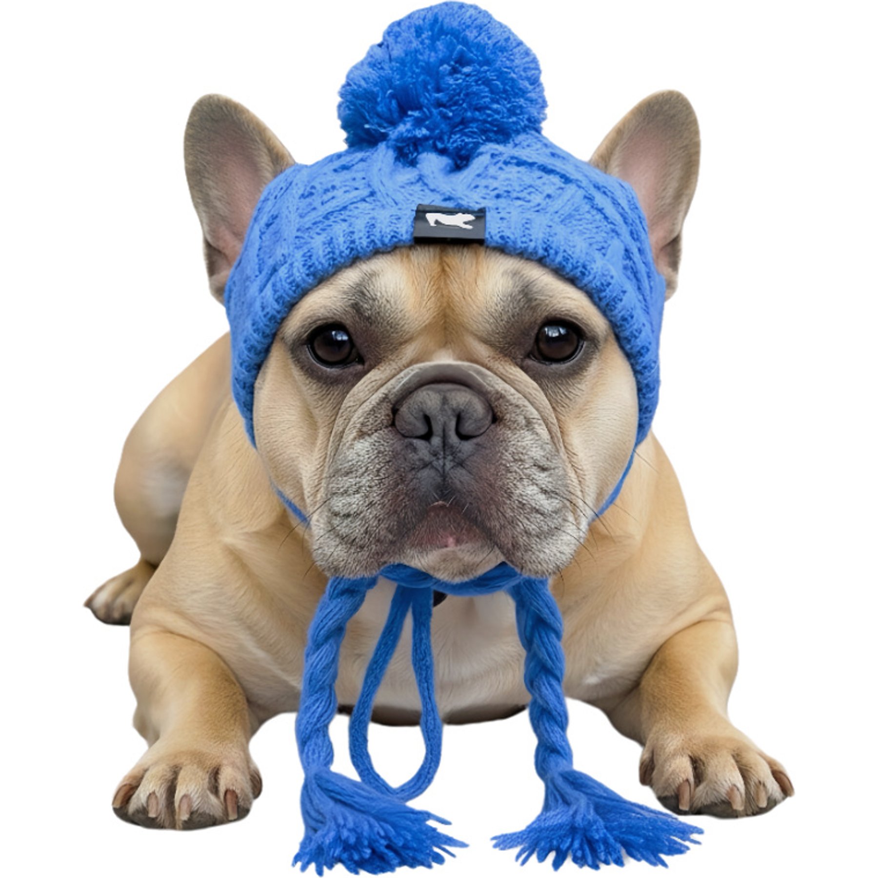 Fabulous Fido Beanie with Ear Holes & Adjustable Chin Strap Dog Knit Hat, Blue, Small