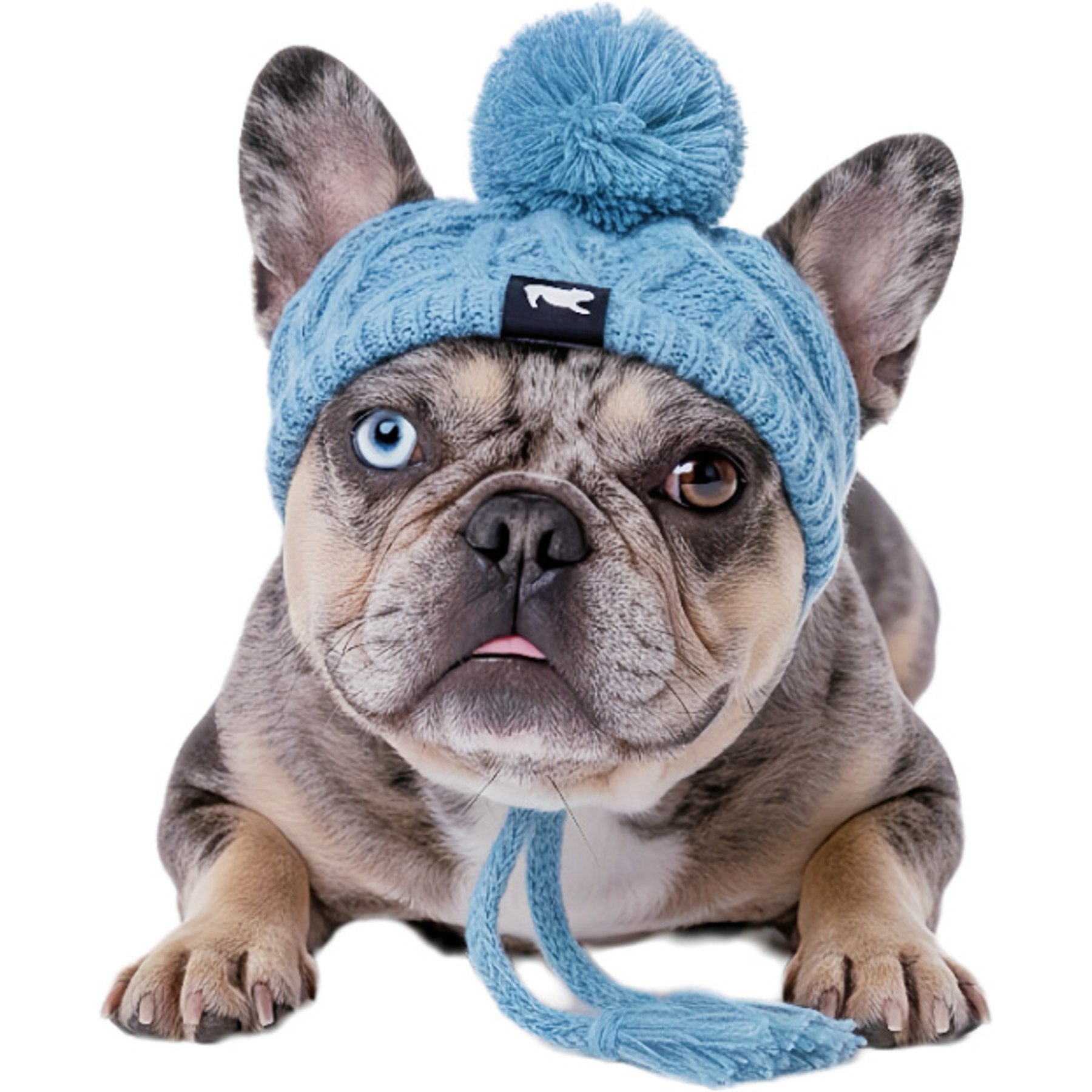 Fabulous Fido Beanie with Ear Holes & Adjustable Chin Strap Dog Knit Hat, Aqua, Large