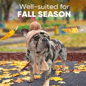 Fabulous Fido Beanie with Ear Holes & Adjustable Chin Strap Dog Knit Hat, Beige, Medium