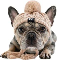 Fabulous Fido Beanie with Ear Holes & Adjustable Chin Strap Dog Knit Hat, Beige, Medium