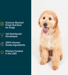 JustFoodForDogs JustFresh Human Grade Home-Cooked Chicken Recipe Fresh Dog Food, 12-oz pouch, case of 7 slide 2 of 9