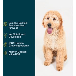 JustFoodForDogs JustFresh Human Grade Home-Cooked Chicken Recipe Fresh Dog Food, 12-oz pouch, case of 7