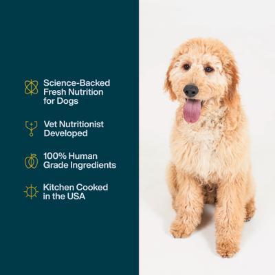 JustFoodForDogs JustFresh Human Grade Home-Cooked Beef Recipe Fresh Dog Food, 12-oz pouch