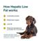 Show in main carousel: JustFoodForDogs Veterinary Diet Hepatic Support Low Fat Frozen Human-Grade Fresh Dog Food, 18-oz pouch, case of 7 slide 4 of 12