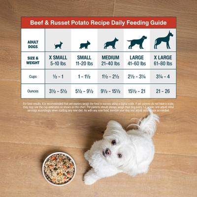 Show full view: JustFoodForDogs Beef & Russet Potato Recipe Frozen Human-Grade Fresh Dog Food, 72-oz pouch, case of 7 slide 9 of 12