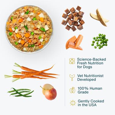 Show full view: JustFoodForDogs Beef & Russet Potato Recipe Frozen Human-Grade Fresh Dog Food, 72-oz pouch, case of 7 slide 3 of 12