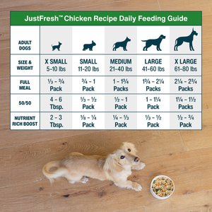 JustFoodForDogs JustFresh Human Grade Home-Cooked Chicken Recipe Fresh Dog Food, 12-oz pouch, case of 7