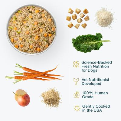 Show full view: JustFoodForDogs Chicken & Rice Recipe Frozen Human-Grade Fresh Dog Food, 72-oz pouch, case of 7 slide 3 of 12