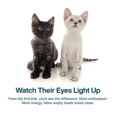 Show full view: JustFoodForCats Fish & Chicken Recipe Frozen Human-Grade Fresh Cat Food, 18-oz pouch, case of 7 slide 5 of 9