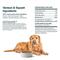 Show in main carousel: JustFoodForDogs Venison & Squash Recipe Frozen Human-Grade Fresh Dog Food, 72-oz pouch, case of 7 slide 8 of 12