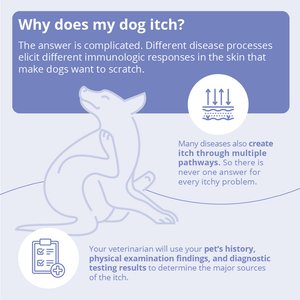 MiconaHex+Triz Wipes for Dogs, Cats & Horses, 50 count