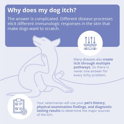 Show full view: MiconaHex+Triz Wipes for Dogs, Cats & Horses, 50 count slide 7 of 9