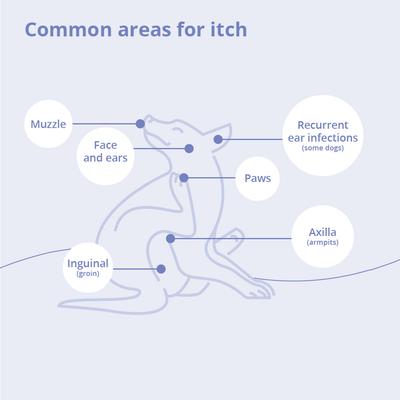 Show full view: MiconaHex+Triz Wipes for Dogs, Cats & Horses, 50 count slide 6 of 9