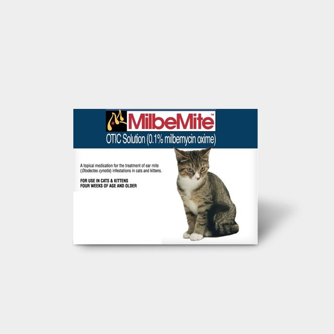 Medications for ear & skin conditions for cats