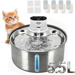 PIONEER PET Big Max Style Stainless Steel Dog & Cat Fountain, 128-oz -  Chewy.com