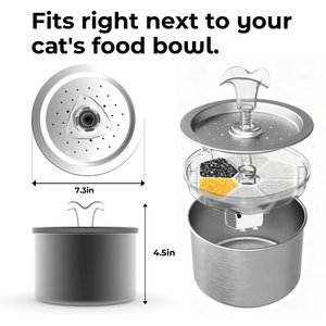 ONIZOOMI Compact Dog & Cat Fountain with Non-Skid BPA-Free Stainless Steel Drinking Bowl, 74-oz