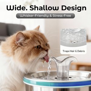 ONIZOOMI Compact Dog & Cat Fountain with Non-Skid BPA-Free Stainless Steel Drinking Bowl, 74-oz