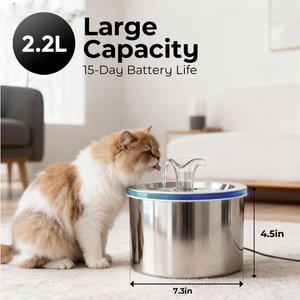 ONIZOOMI Compact Dog & Cat Fountain with Non-Skid BPA-Free Stainless Steel Drinking Bowl, 74-oz