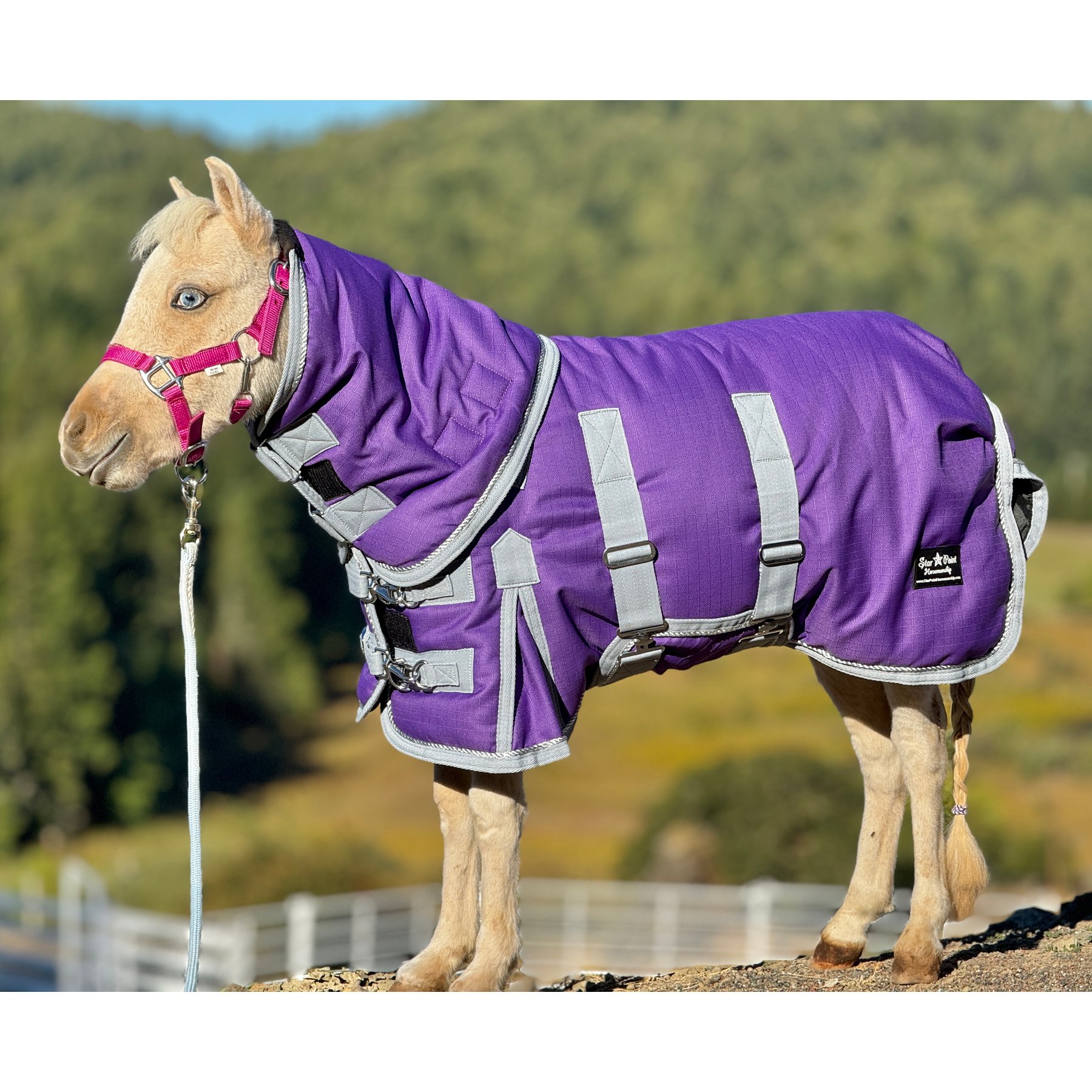 Star Point Horsemanship Extra Heavyweight 400 Gram Mini-Pony Bellyband Horse Blanket, Purple, 40 to 42-in