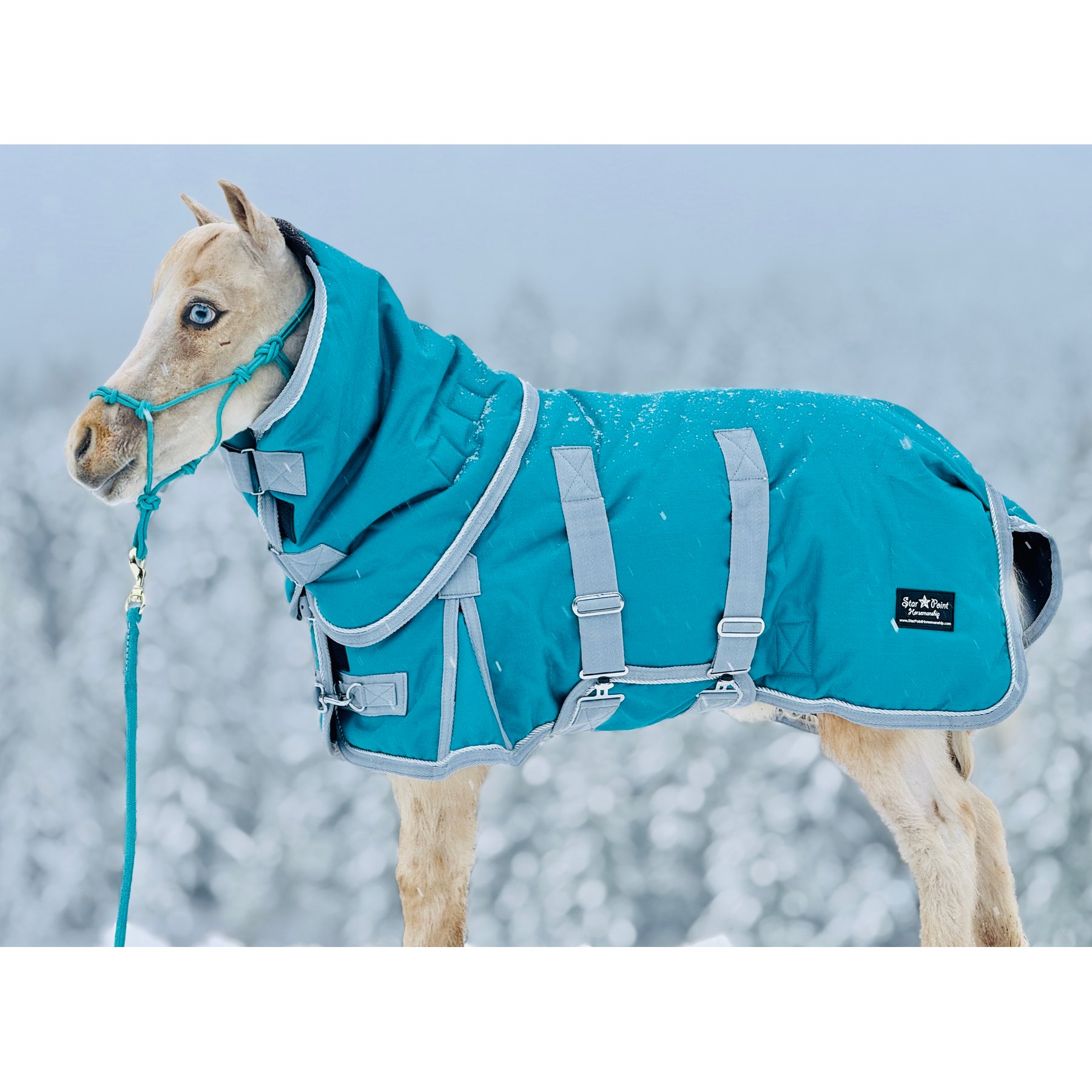 Star Point Horsemanship Extra Heavyweight 400 Gram Mini-Pony Bellyband Horse Blanket, Teal, 38 to 40-in
