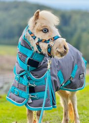 Star Point Horsemanship Extra Heavyweight 400 Gram Mini-Pony Horse Blanket, Gray, 44 to 46-in slide 2 of 2