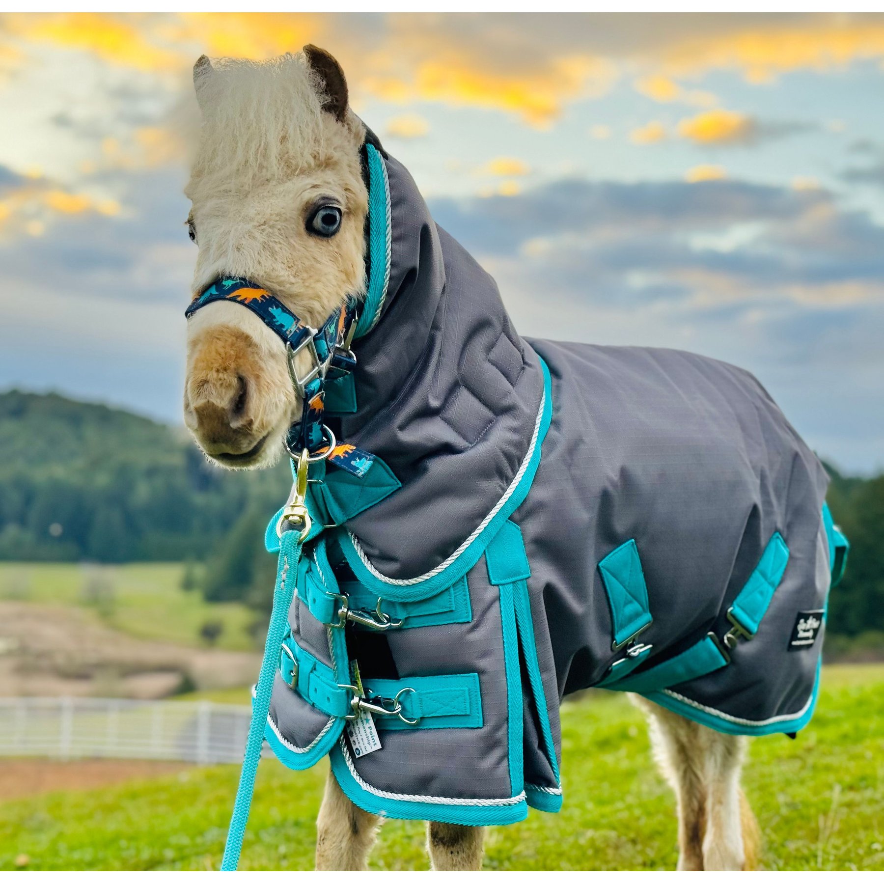 Star Point Horsemanship Extra Heavyweight 400 Gram Mini-Pony Horse Blanket, Gray, 46 to 48-in