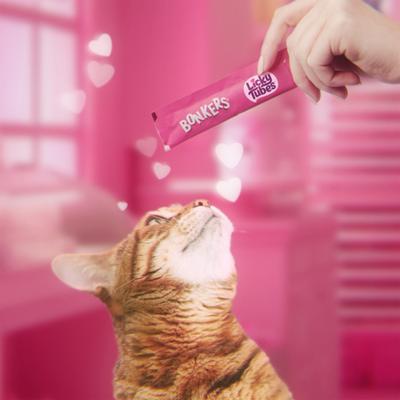 Show full view: Bonkers Licky Tubes Grain-Free Wet Chicken & Salmon Flavored Lickable Cat Treats, 18 tubes slide 4 of 11