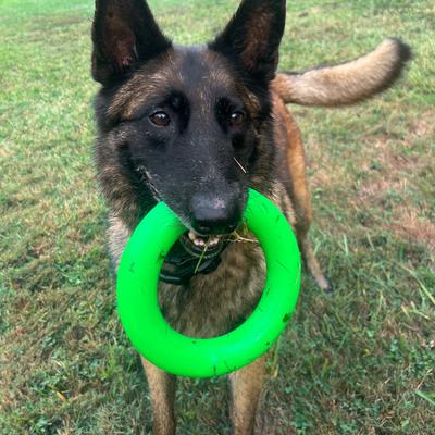 Show full view: Ruff Dawg Ring Dog Chew Toy, Green, X-Large slide 4 of 5