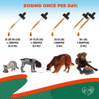 Show full view: Beloved Pets Natural Herbiotic Liquid Urinary Supplement for Dogs & Cats, 60-mL bottle slide 7 of 9