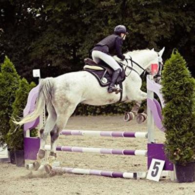 Show full view: Intrepid International Metal Horse Jump Cups, 2 count, Green slide 3 of 6