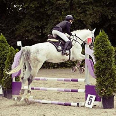 Show full view: Intrepid International Metal Horse Jump Cups, 2 count, Red slide 3 of 5