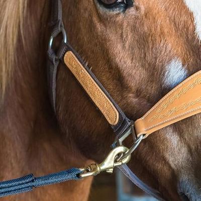 Show full view: Tie-Safe Tie-Safe Adjustable Breakaway Horse Cross Tie, Black, 8-ft slide 2 of 6