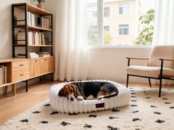 LFC PETS Washable Bolster Dog & Cat Bed with Removable Inner Cushion, Milkywhite, Medium Plus