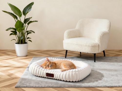Show full view: LFC PETS Washable Bolster Dog & Cat Bed with Removable Inner Cushion, Milky White, Small slide 3 of 9