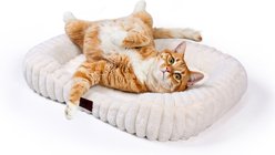 LFC PETS Washable Bolster Dog & Cat Bed with Removable Inner Cushion, Milky White, Small