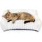 Show in main carousel: LFC PETS Plush Foldable Couch Dog & Cat Bed with Removable Cover, Milky White, Small slide 1 of 10