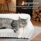 Show in main carousel: LFC PETS Plush Foldable Couch Dog & Cat Bed with Removable Cover, Milky White, Small slide 5 of 10