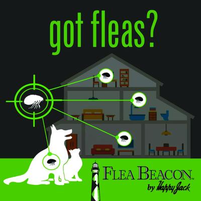 Show full view: Happy Jack Gardstrips Replacement Glue Pads for Flea Traps, 5 count slide 2 of 10